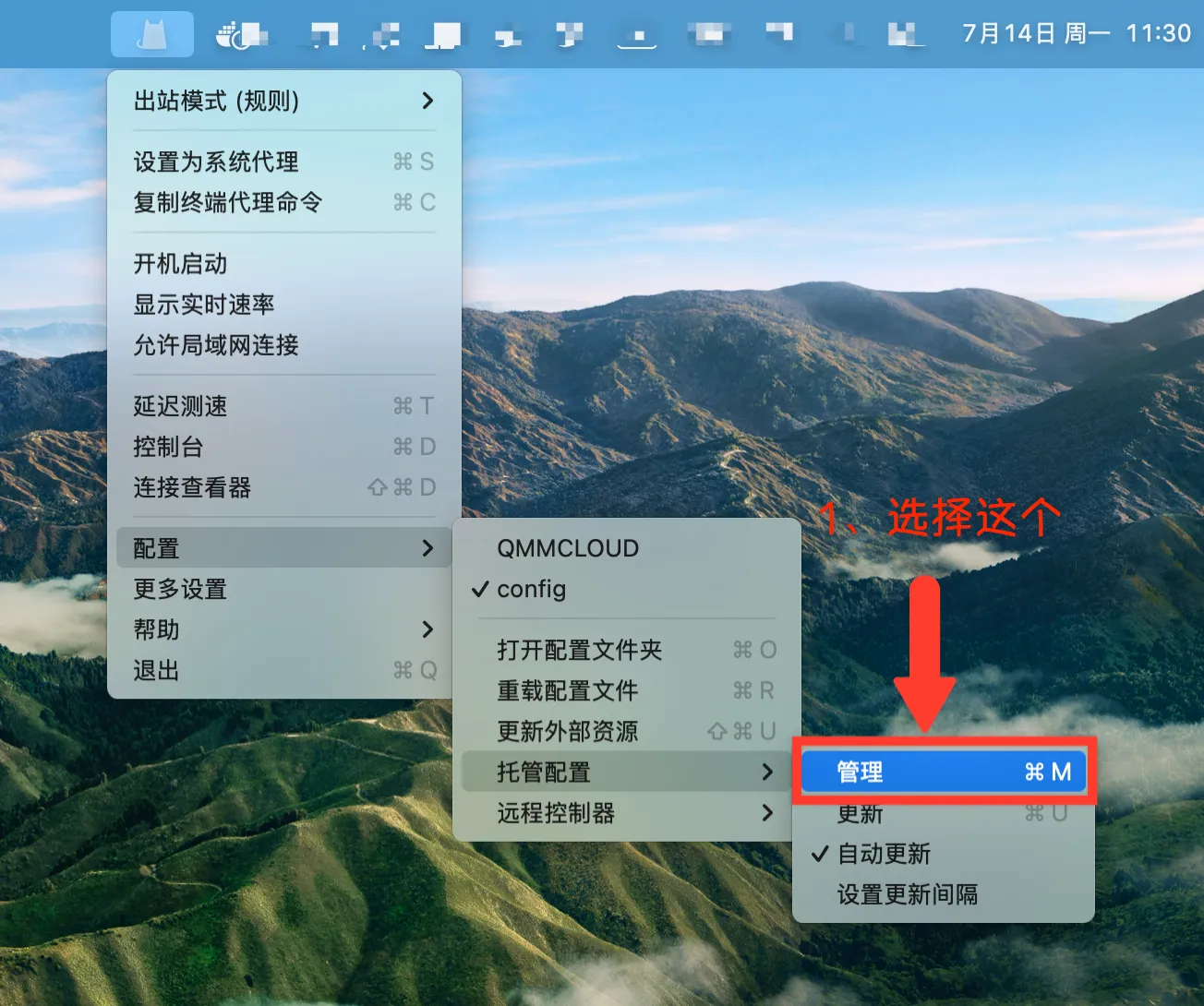 ClashX 管理并添加远程订阅链接